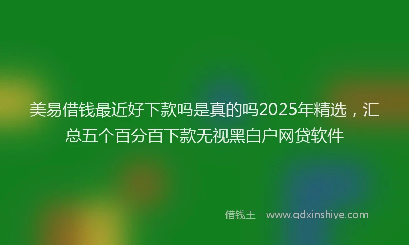 美易借钱最近好下款吗是真的吗2025年精选，汇总五个百分百下款无视黑白户网贷软件