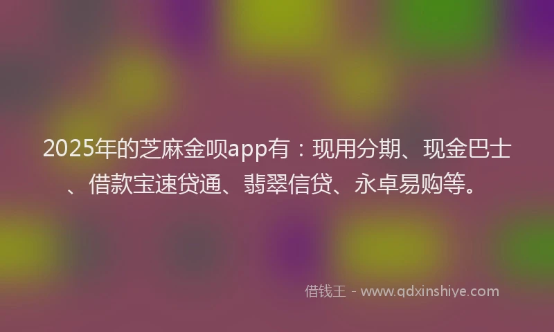 2025年的芝麻金呗app有：现用分期、现金巴士、借款宝速贷通、翡翠信贷、永卓易购等。