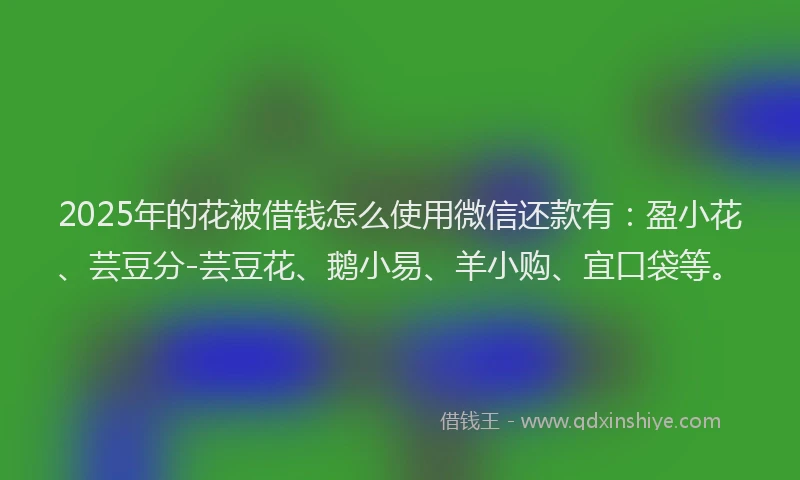 2025年的花被借钱怎么使用微信还款有：盈小花、芸豆分-芸豆花、鹅小易、羊小购、宜口袋等。