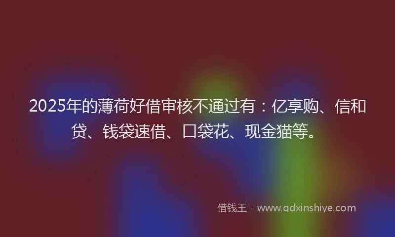 2025年的薄荷好借审核不通过有：亿享购、信和贷、钱袋速借、口袋花、现金猫等。