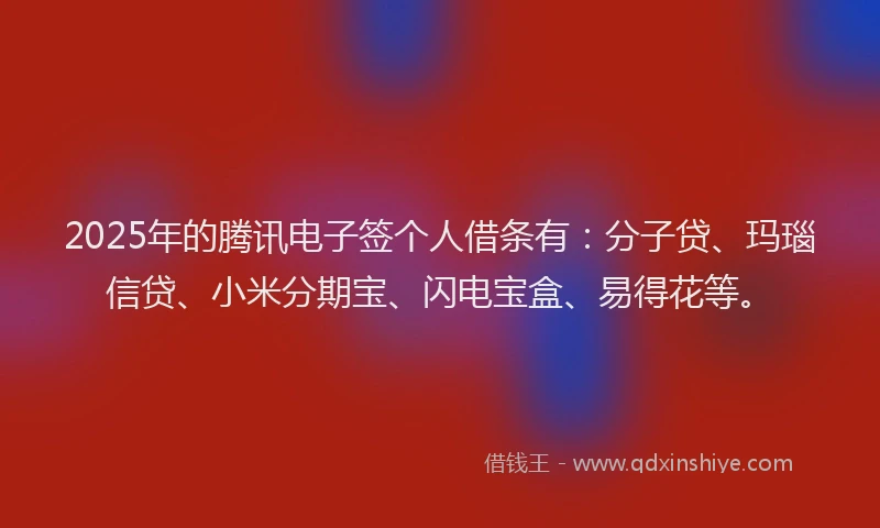 2025年的腾讯电子签个人借条有：分子贷、玛瑙信贷、小米分期宝、闪电宝盒、易得花等。