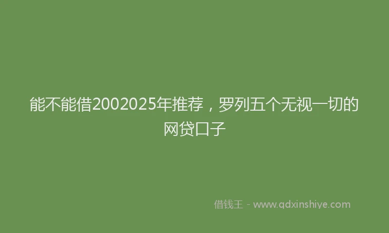 能不能借2002025年推荐，罗列五个无视一切的网贷口子