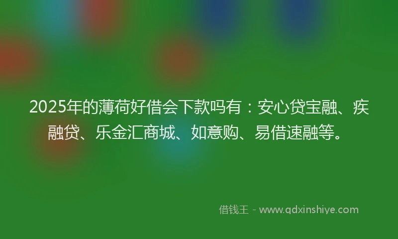 2025年的薄荷好借会下款吗有：安心贷宝融、疾融贷、乐金汇商城、如意购、易借速融等。