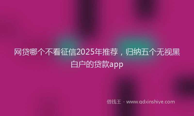 网贷哪个不看征信2025年推荐，归纳五个无视黑白户的贷款app