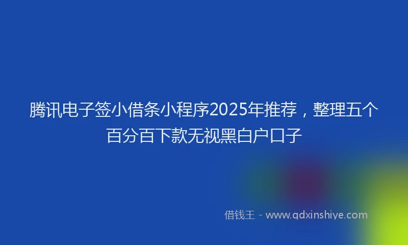 腾讯电子签小借条小程序2025年推荐，整理五个百分百下款无视黑白户口子