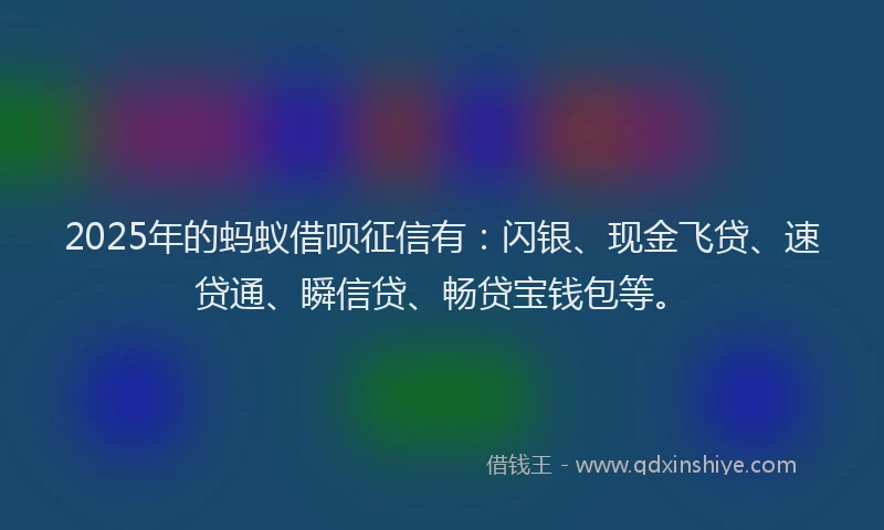 2025年的蚂蚁借呗征信有：闪银、现金飞贷、速贷通、瞬信贷、畅贷宝钱包等。