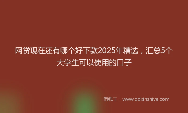 网贷现在还有哪个好下款2025年精选，汇总5个大学生可以使用的口子