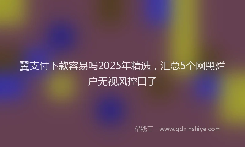 翼支付下款容易吗2025年精选，汇总5个网黑烂户无视风控口子