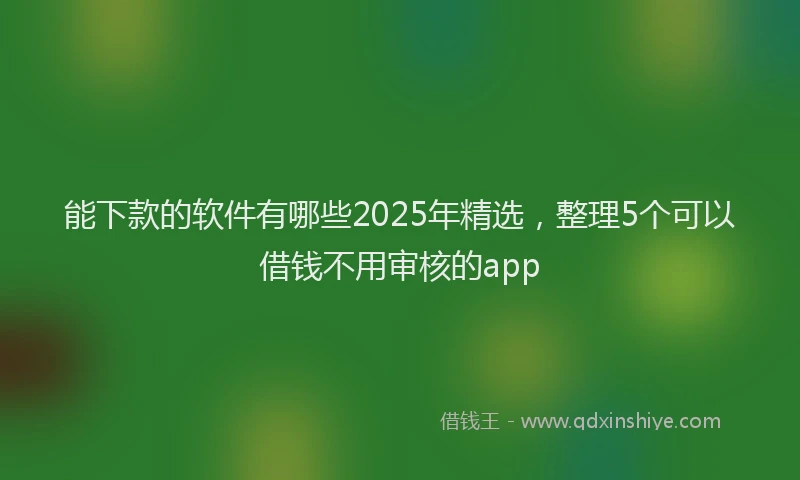 能下款的软件有哪些2025年精选，整理5个可以借钱不用审核的app