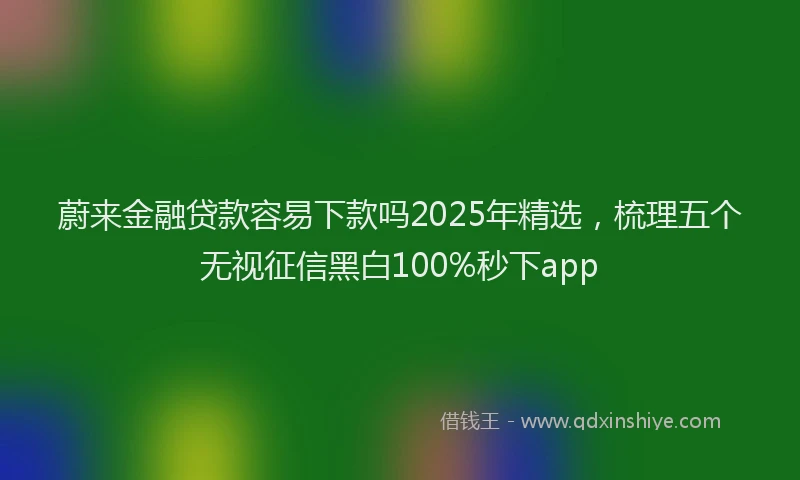 蔚来金融贷款容易下款吗2025年精选，梳理五个无视征信黑白100%秒下app