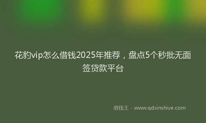 花豹vip怎么借钱2025年推荐，盘点5个秒批无面签贷款平台