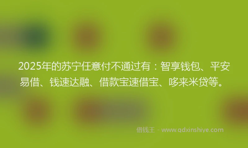 2025年的苏宁任意付不通过有：智享钱包、平安易借、钱速达融、借款宝速借宝、哆来米贷等。