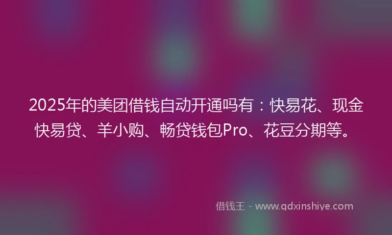 2025年的美团借钱自动开通吗有：快易花、现金快易贷、羊小购、畅贷钱包Pro、花豆分期等。
