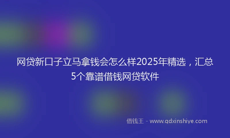 网贷新口子立马拿钱会怎么样2025年精选，汇总5个靠谱借钱网贷软件