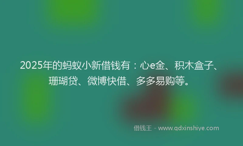 2025年的蚂蚁小新借钱有：心e金、积木盒子、珊瑚贷、微博快借、多多易购等。