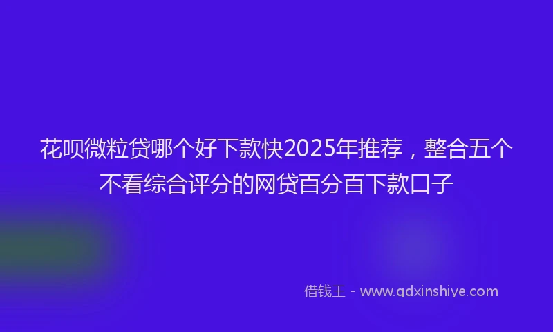 花呗微粒贷哪个好下款快2025年推荐，整合五个不看综合评分的网贷百分百下款口子