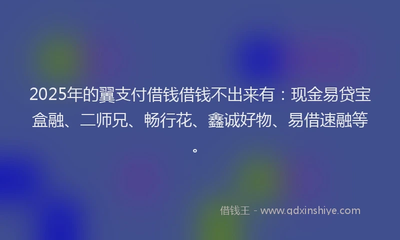 2025年的翼支付借钱借钱不出来有：现金易贷宝盒融、二师兄、畅行花、鑫诚好物、易借速融等。