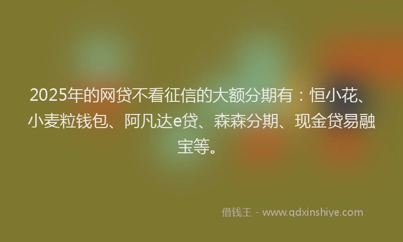 2025年的网贷不看征信的大额分期有：恒小花、小麦粒钱包、阿凡达e贷、森森分期、现金贷易融宝等。