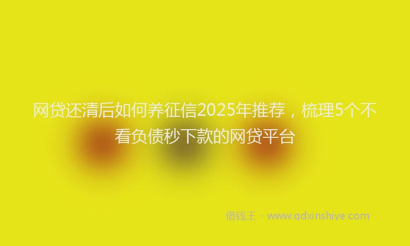 网贷还清后如何养征信2025年推荐，梳理5个不看负债秒下款的网贷平台