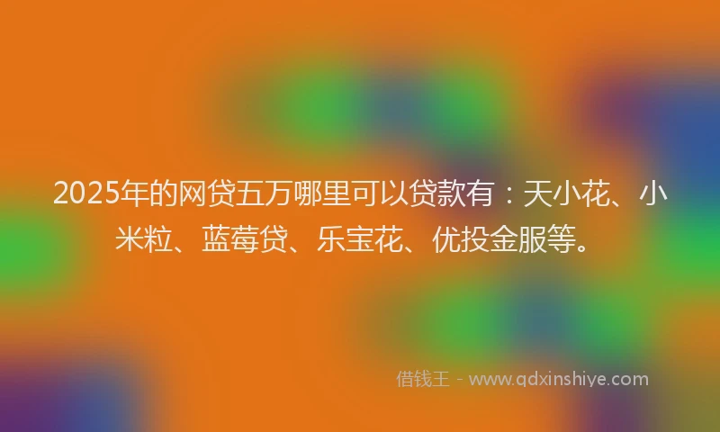 2025年的网贷五万哪里可以贷款有：天小花、小米粒、蓝莓贷、乐宝花、优投金服等。