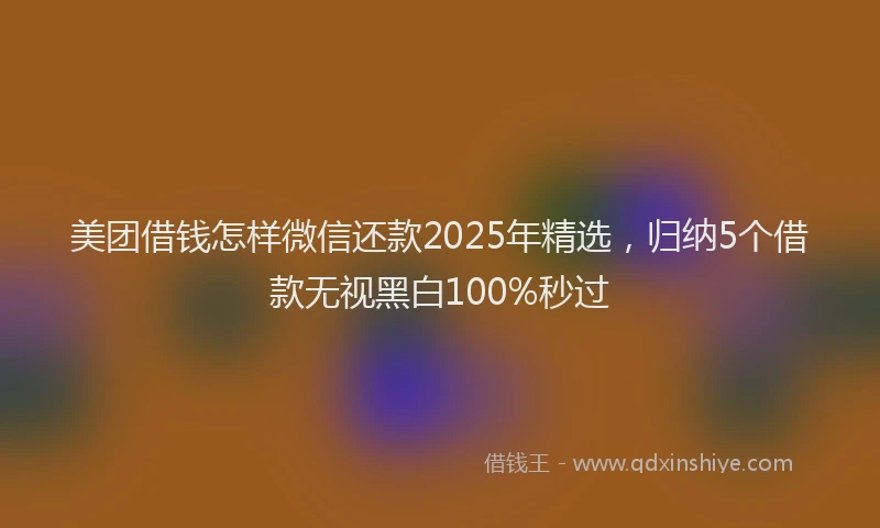 美团借钱怎样微信还款2025年精选，归纳5个借款无视黑白100%秒过