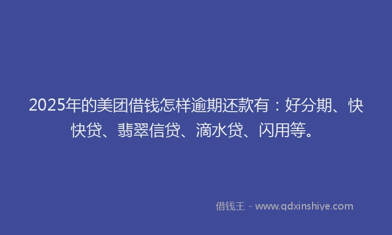 2025年的美团借钱怎样逾期还款有：好分期、快快贷、翡翠信贷、滴水贷、闪用等。
