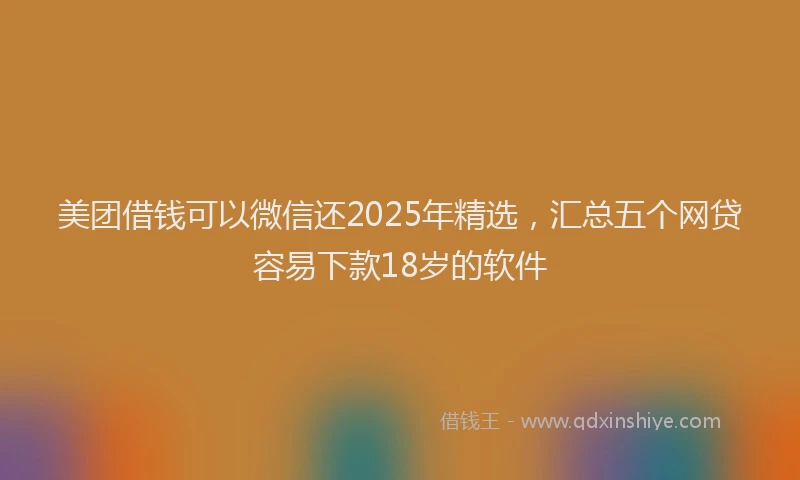 美团借钱可以微信还2025年精选，汇总五个网贷容易下款18岁的软件
