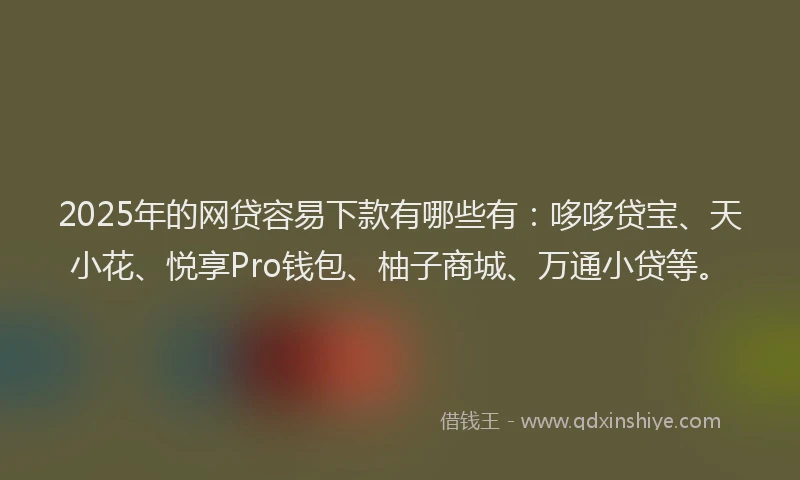 2025年的网贷容易下款有哪些有：哆哆贷宝、天小花、悦享Pro钱包、柚子商城、万通小贷等。
