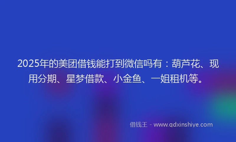 2025年的美团借钱能打到微信吗有：葫芦花、现用分期、星梦借款、小金鱼、一姐租机等。