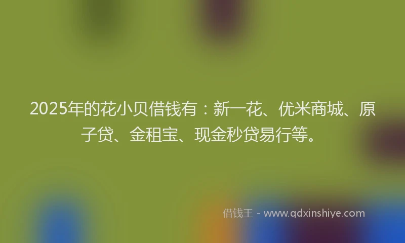 2025年的花小贝借钱有：新一花、优米商城、原子贷、金租宝、现金秒贷易行等。