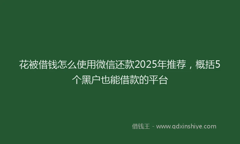 花被借钱怎么使用微信还款2025年推荐，概括5个黑户也能借款的平台