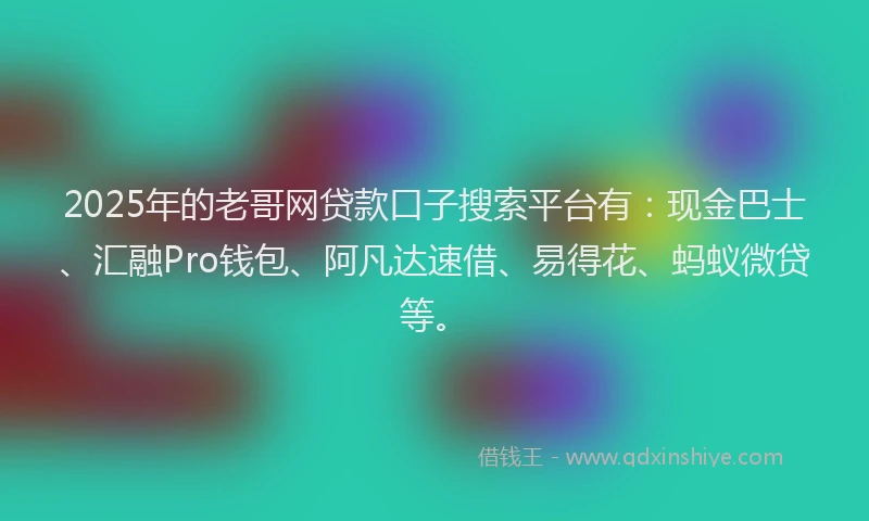 2025年的老哥网贷款口子搜索平台有：现金巴士、汇融Pro钱包、阿凡达速借、易得花、蚂蚁微贷等。