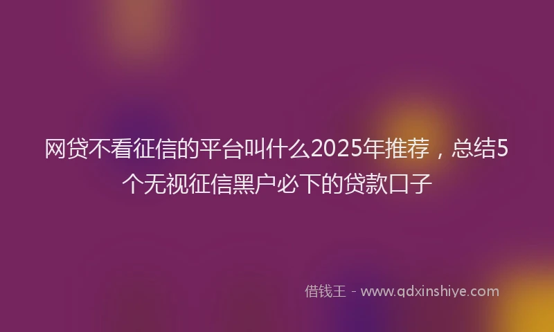 网贷不看征信的平台叫什么2025年推荐，总结5个无视征信黑户必下的贷款口子