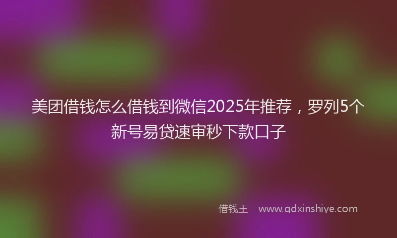 美团借钱怎么借钱到微信2025年推荐，罗列5个新号易贷速审秒下款口子
