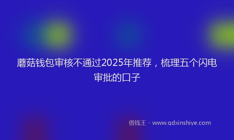 蘑菇钱包审核不通过2025年推荐，梳理五个闪电审批的口子