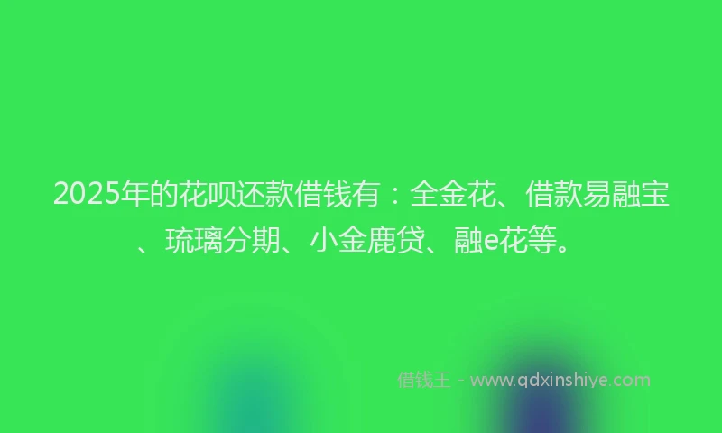 2025年的花呗还款借钱有：全金花、借款易融宝、琉璃分期、小金鹿贷、融e花等。