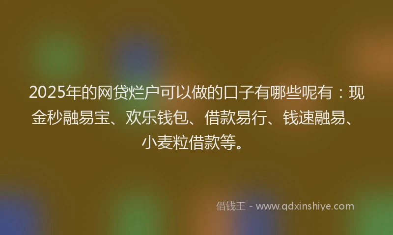 2025年的网贷烂户可以做的口子有哪些呢有：现金秒融易宝、欢乐钱包、借款易行、钱速融易、小麦粒借款等。