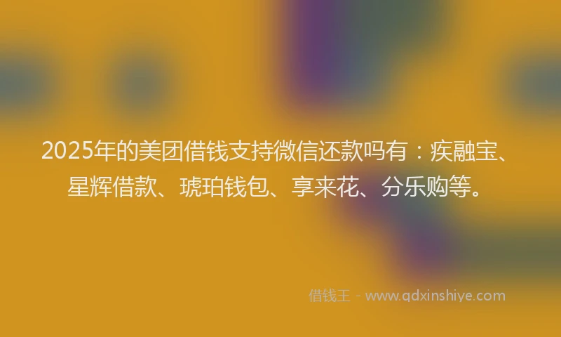 2025年的美团借钱支持微信还款吗有：疾融宝、星辉借款、琥珀钱包、享来花、分乐购等。