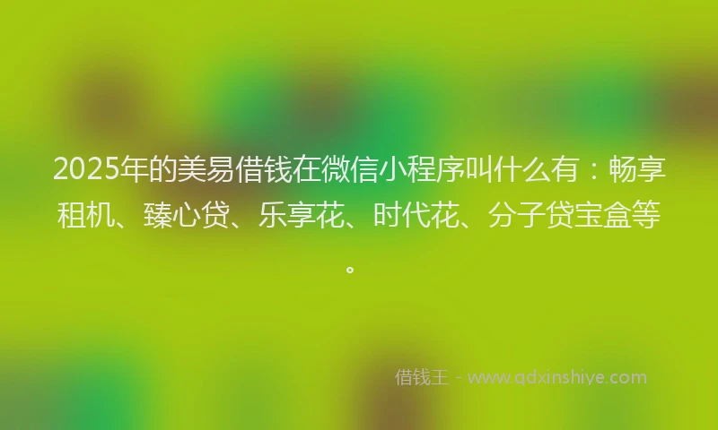 2025年的美易借钱在微信小程序叫什么有：畅享租机、臻心贷、乐享花、时代花、分子贷宝盒等。