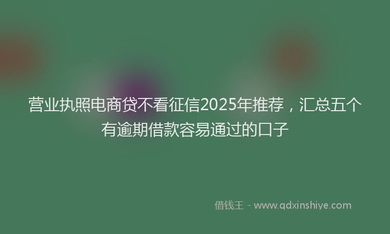营业执照电商贷不看征信2025年推荐，汇总五个有逾期借款容易通过的口子