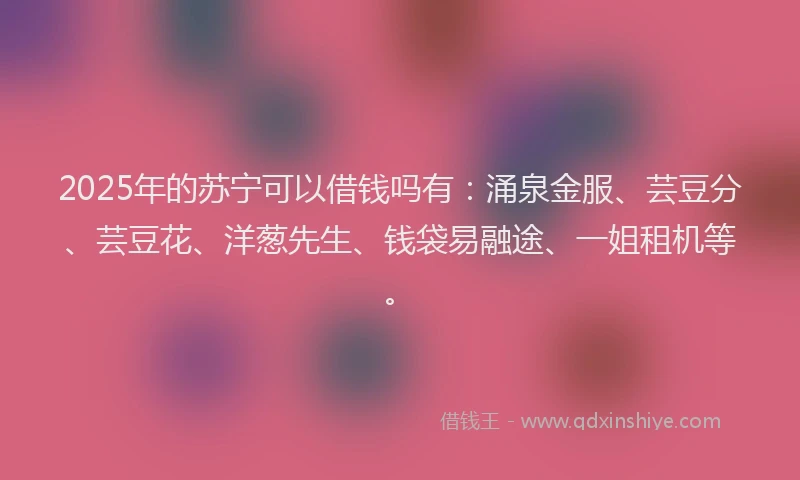 2025年的苏宁可以借钱吗有：涌泉金服、芸豆分、芸豆花、洋葱先生、钱袋易融途、一姐租机等。