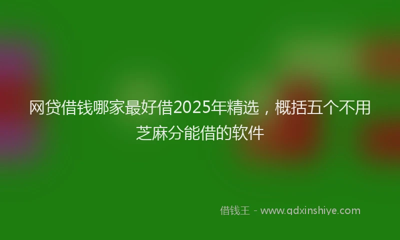 网贷借钱哪家最好借2025年精选，概括五个不用芝麻分能借的软件