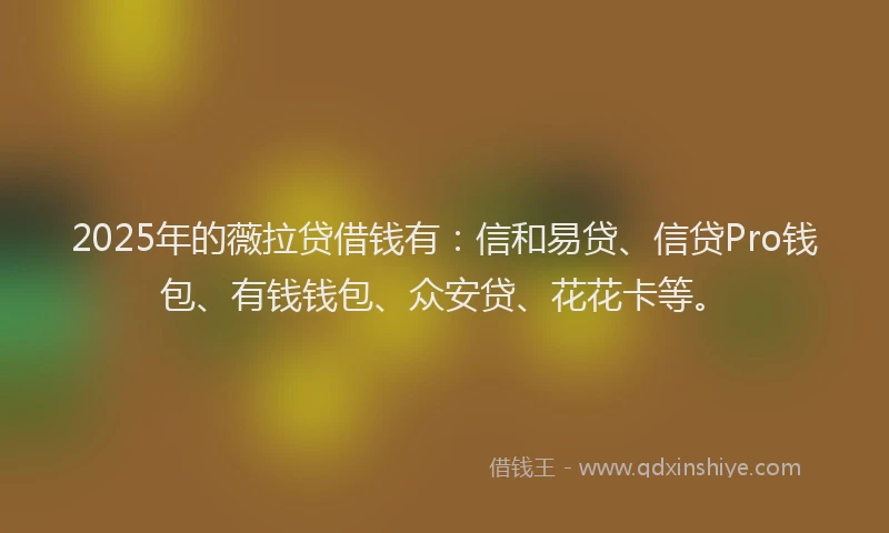 2025年的薇拉贷借钱有：信和易贷、信贷Pro钱包、有钱钱包、众安贷、花花卡等。