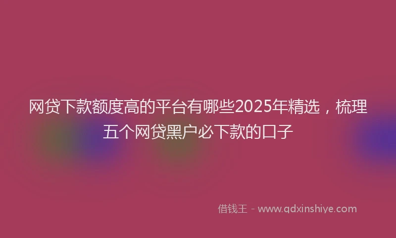 网贷下款额度高的平台有哪些2025年精选，梳理五个网贷黑户必下款的口子