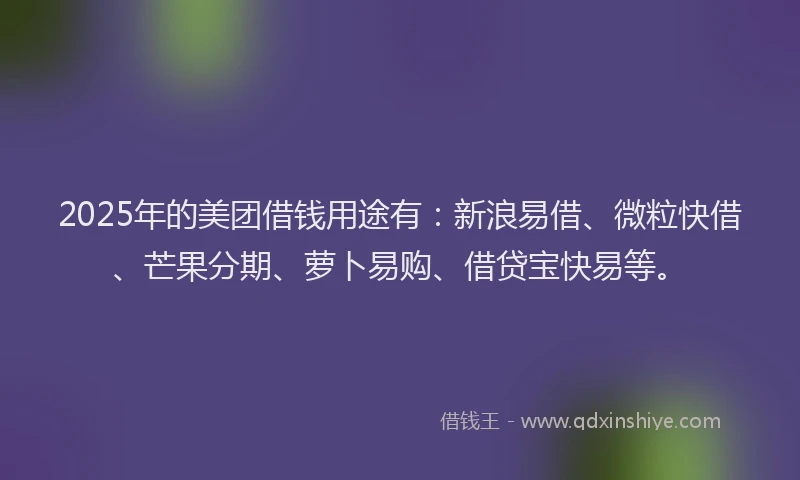 2025年的美团借钱用途有：新浪易借、微粒快借、芒果分期、萝卜易购、借贷宝快易等。