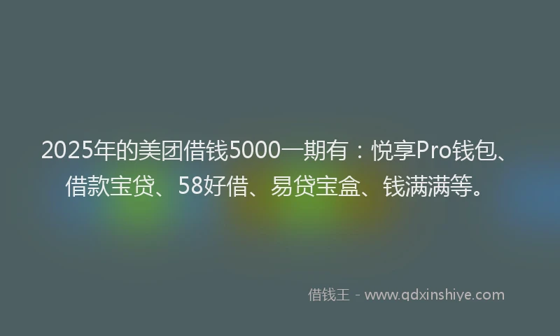 2025年的美团借钱5000一期有：悦享Pro钱包、借款宝贷、58好借、易贷宝盒、钱满满等。