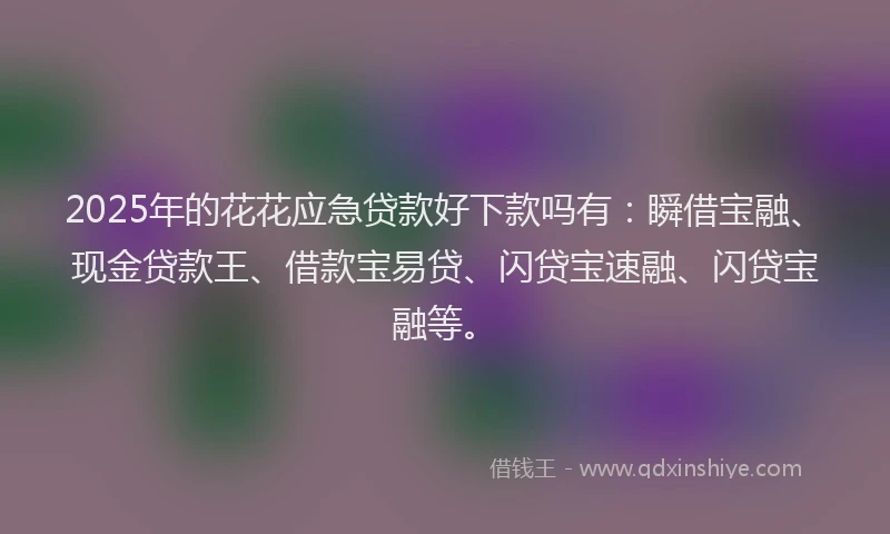2025年的花花应急贷款好下款吗有：瞬借宝融、现金贷款王、借款宝易贷、闪贷宝速融、闪贷宝融等。