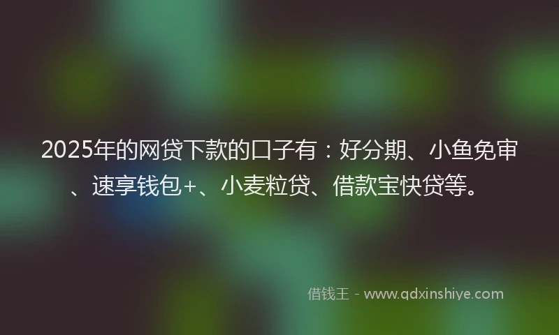 2025年的网贷下款的口子有：好分期、小鱼免审、速享钱包+、小麦粒贷、借款宝快贷等。
