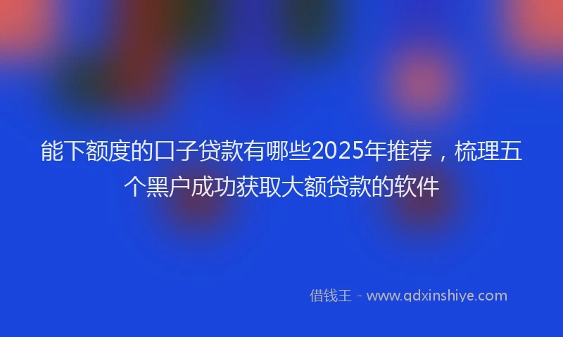 能下额度的口子贷款有哪些2025年推荐，梳理五个黑户成功获取大额贷款的软件
