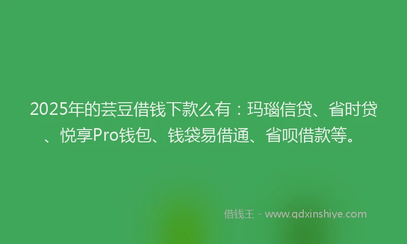 2025年的芸豆借钱下款么有：玛瑙信贷、省时贷、悦享Pro钱包、钱袋易借通、省呗借款等。